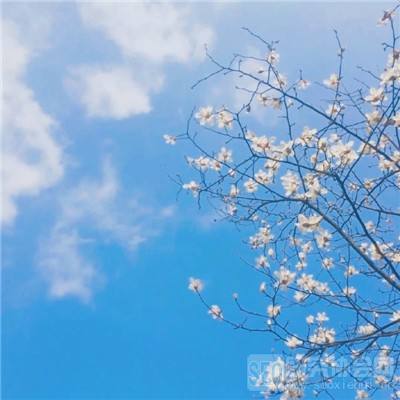 部落荣耀进化手机版(暂未上线)v1.0 官方安卓版