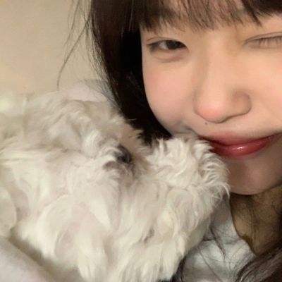 青云传仙豆版下载
